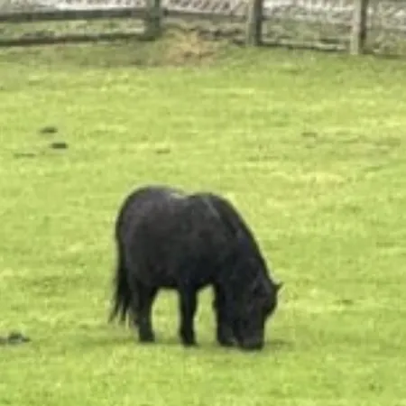 Lyxtält Burtree House & Retreats Tipi With Secluded Hot Tub Thirkleby